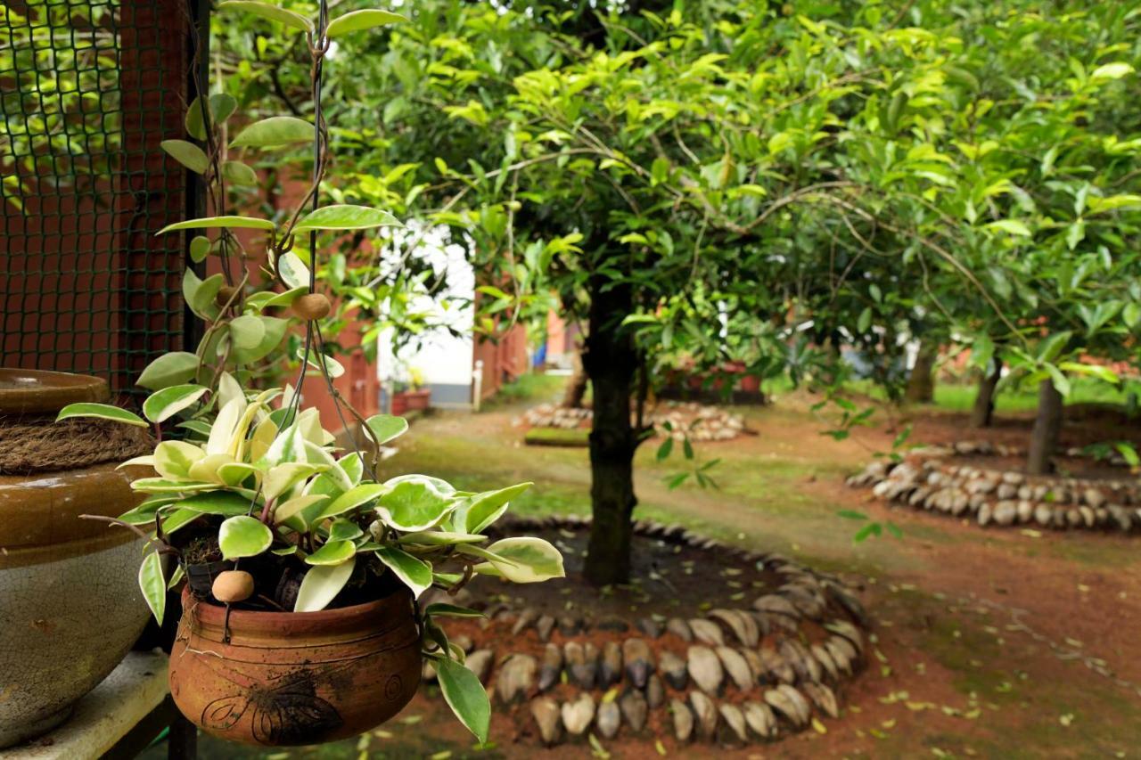Stayvista At La Riva Heritage Villa With Bicycle Alappuzha Exteriör bild